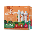 Natural Fruit Flavored Gateway Tea 6-Pack Variety Pack HM0F - Vitamin-Infused Natural Refreshing Flavor Core - Default Title